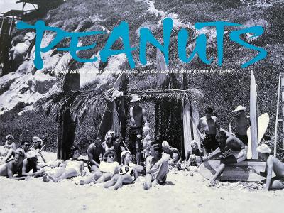 Peanuts by Craig Lockwood