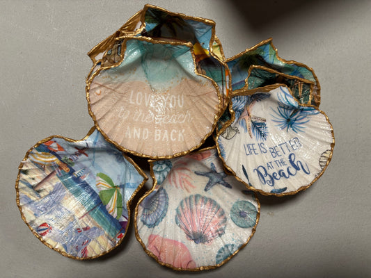 Seashells by Roni